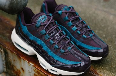 Nike Air Max 95 Special Edition Premium